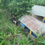 SeNaSa convocará licitación pública para auditoría externa