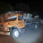 EDEESTE alerta: vandalismo golpea infraestructura eléctrica clave