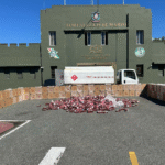 Expectativa en el PLD por inscripción de Gonzalo Castillo