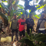 La Perestroika&nbsp;Bolivariana