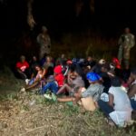 Psiquiatra afirma que therian verdaderos tienen trastornos psiquiátricos&nbsp;“El therian verdadero es de bajo perfil, no quiere que sepa que es therian”