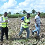 JCE recibió 236 mil 358 solicitudes de servicios para la nueva cédula desde el 12 al 25 de abril