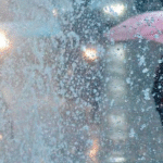 Francisco Javier advierte plan del gobierno para mitigar la crisis global debe ser serio, austero y bien articulado