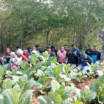 Ministro de Agricultura anuncia que República Dominicana se convierte en el mayor productor de arroz del Caribe y Centroamérica