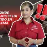 ⚖️ Justicia dominicana está en su PEOR MOMENTO